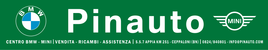 Pinauto